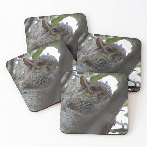 Item preview, Cute Squirrle #0081 designed and sold by Jeffrey Mask.