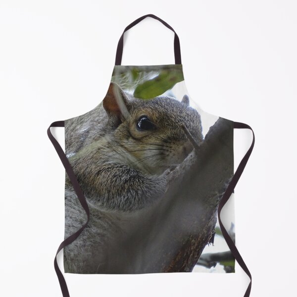 Item preview, Cute Squirrle #0081 designed and sold by Jeffrey Mask.