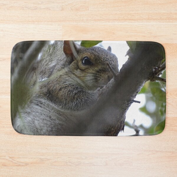 Item preview, Cute Squirrle #0081 designed and sold by Jeffrey Mask.
