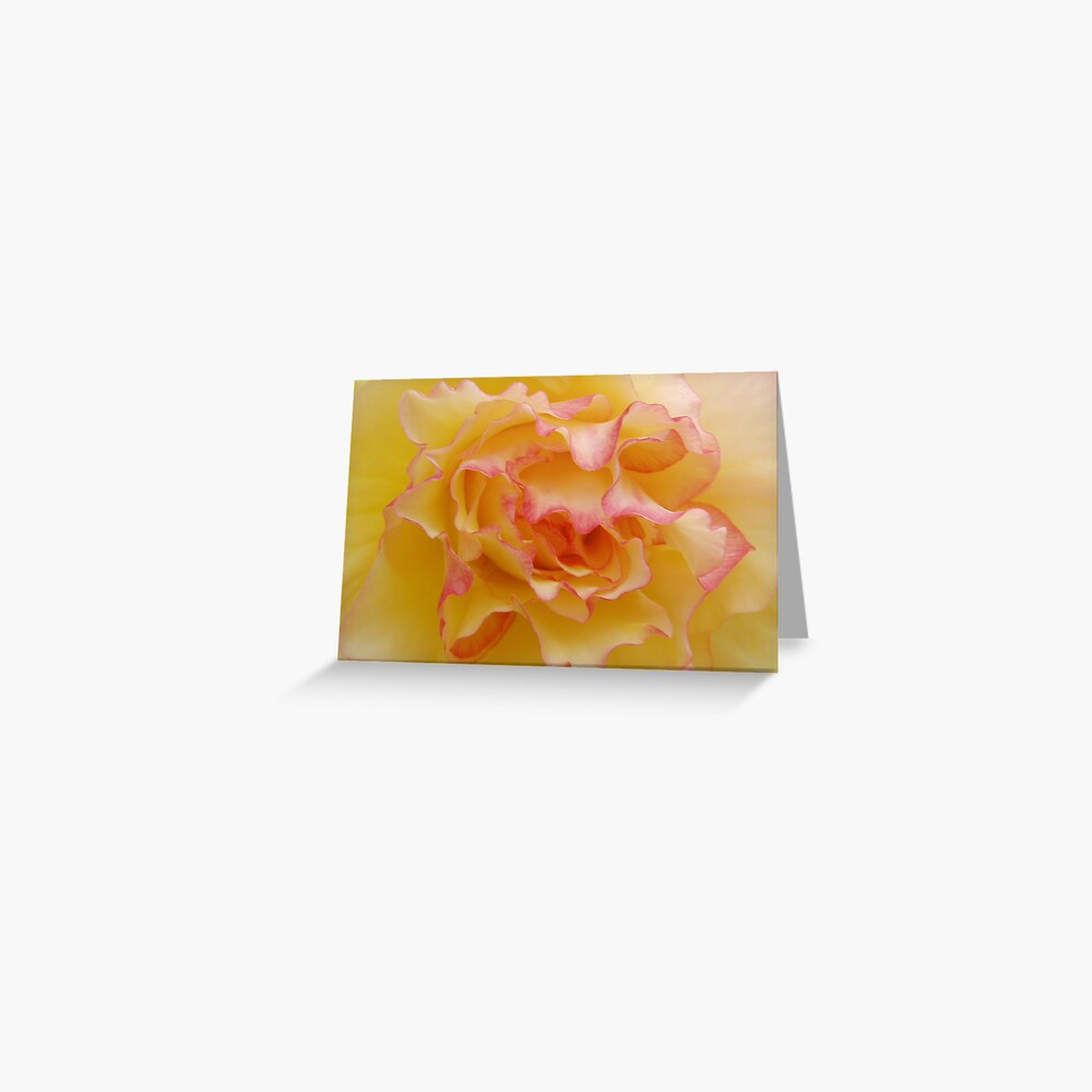 Begonia 3 Greeting Card