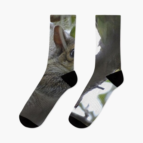 Item preview, Cute Squirrle #0081 designed and sold by Jeffrey Mask.