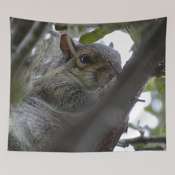 Item preview, Cute Squirrle #0081 designed and sold by Jeffrey Mask.
