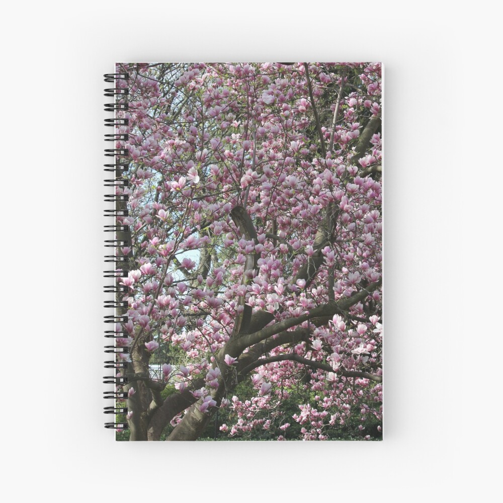 Magnolia Song Spiral Notebook