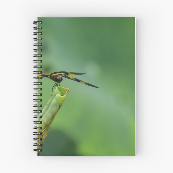 Item preview, Jardín botánico Bios designed and sold by Chase Robinson Photography.