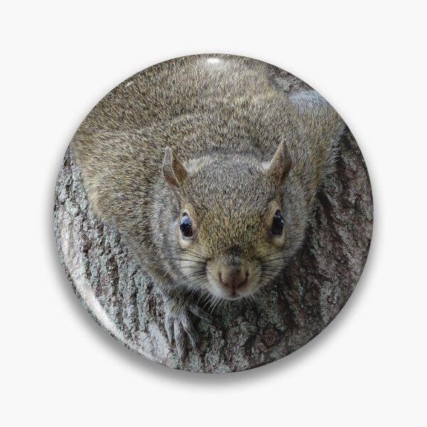 Item preview, Cute Squirrel #0082 designed and sold by Jeffrey Mask.