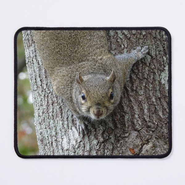 Item preview, Cute Squirrel #0082 designed and sold by Jeffrey Mask.