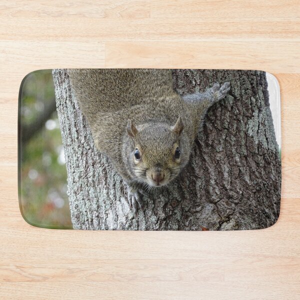 Item preview, Cute Squirrel #0082 designed and sold by Jeffrey Mask.