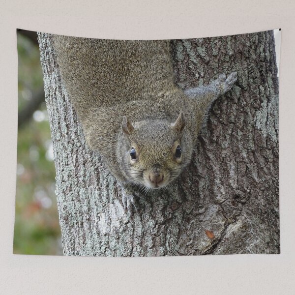 Item preview, Cute Squirrel #0082 designed and sold by Jeffrey Mask.