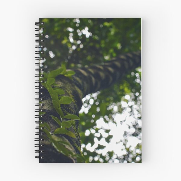Item preview, Jardín botánico Bios designed and sold by Chase Robinson Photography.