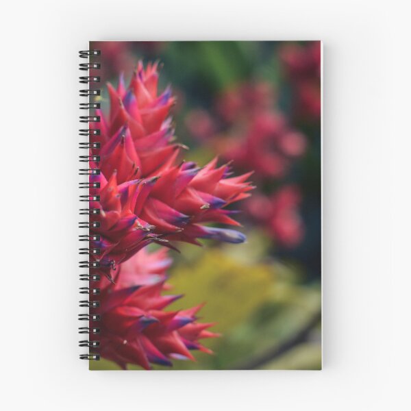Item preview, Jardín botánico Bios designed and sold by Chase Robinson Photography.