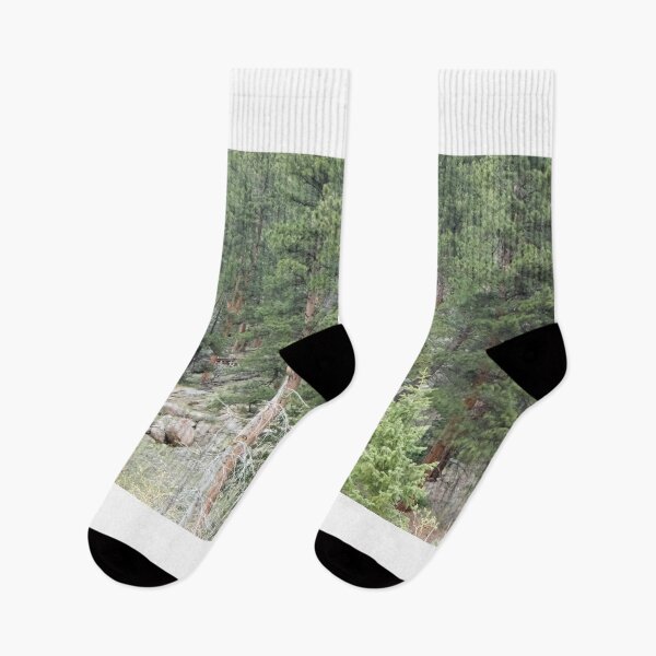 Item preview, Rocky Mountain National Park Trees designed and sold by Haley-Marshall.
