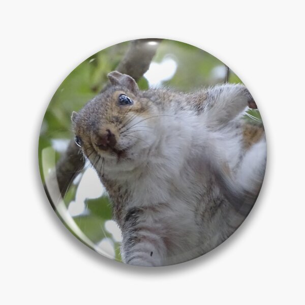 Item preview, Cute Squirrel #0083 designed and sold by Jeffrey Mask.