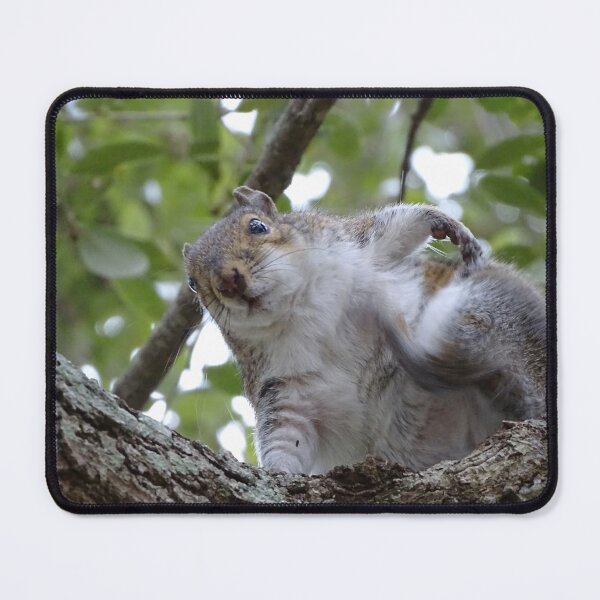 Item preview, Cute Squirrel #0083 designed and sold by Jeffrey Mask.