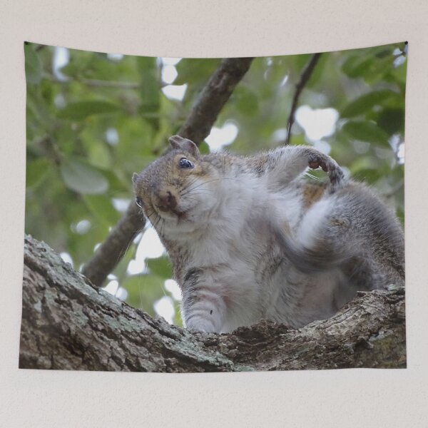 Item preview, Cute Squirrel #0083 designed and sold by Jeffrey Mask.
