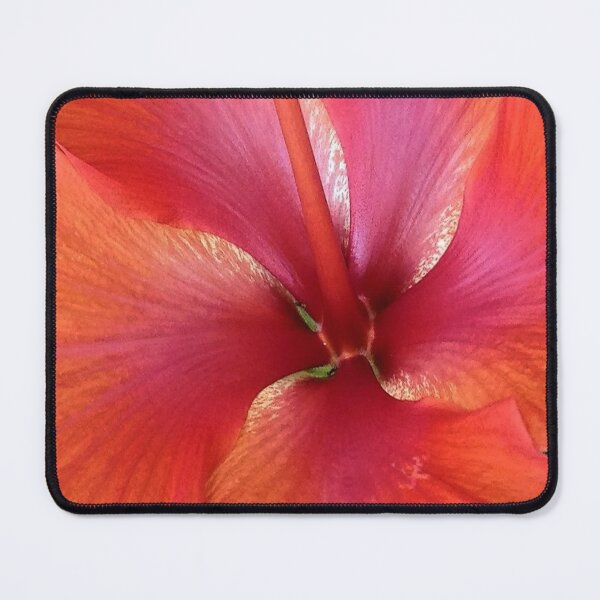Item preview, Looking closer designed and sold by PAMELA HULL.