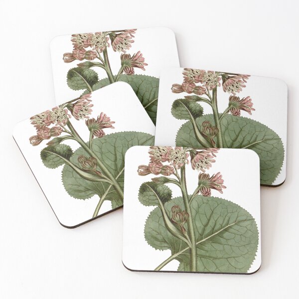 Item preview, Vintage Botanical Illustration Italian Flora designed and sold by anthologies.