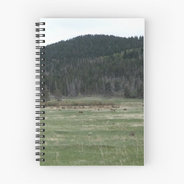 Item preview, Rocky Mountain National Park  designed and sold by Haley-Marshall.