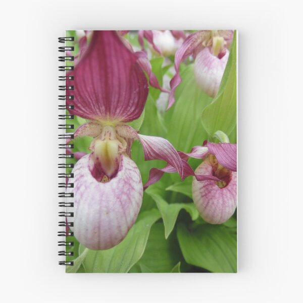 Item preview, orchid designed and sold by rachariedel.