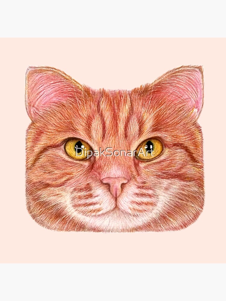 ArtStation - colour pencil drawing of cat draw by me and edited by @mamta