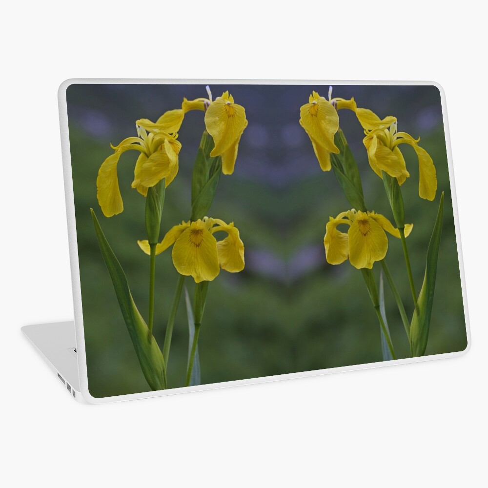 Yellow Flag Iris - Donegal Laptop Skin