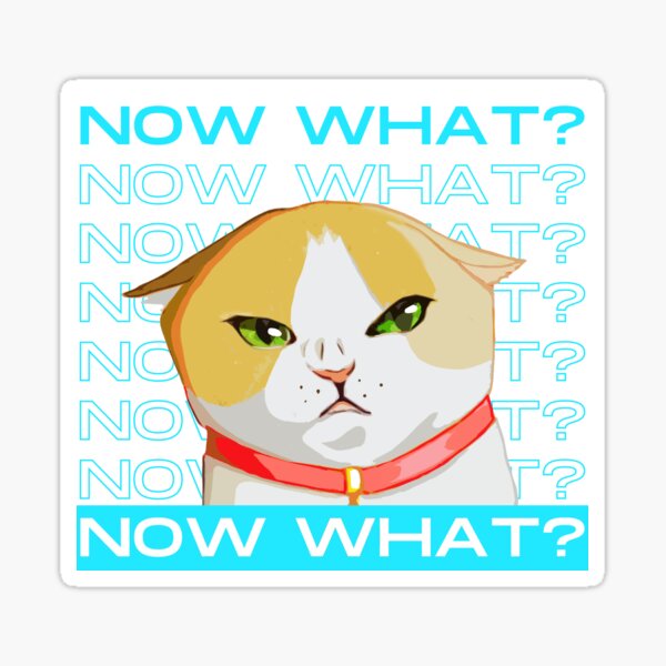 Anger Didnt Ask For Cat Meme PFP rs by smellyknickknacks on  DeviantArt