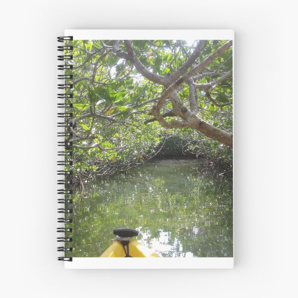 Item preview, Kayaking Through the Mangroves designed and sold by katiemarieco.