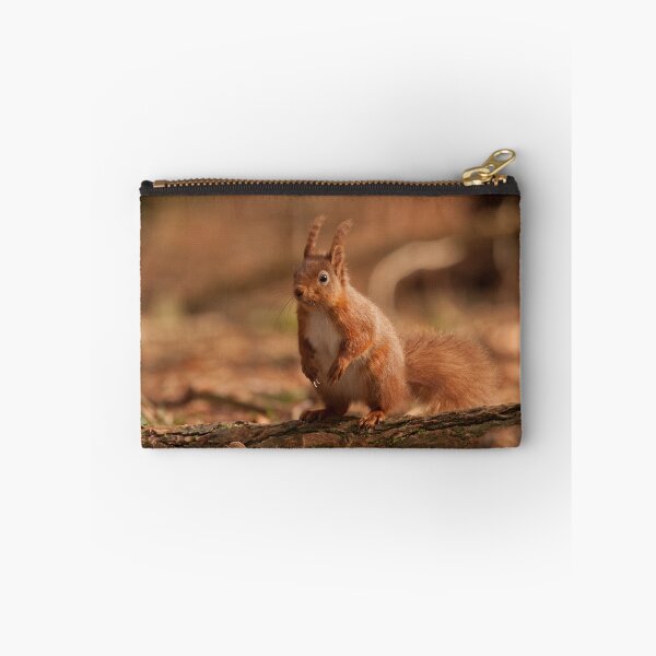 Item preview, European Red Squirrel designed and sold by Jon Lees.
