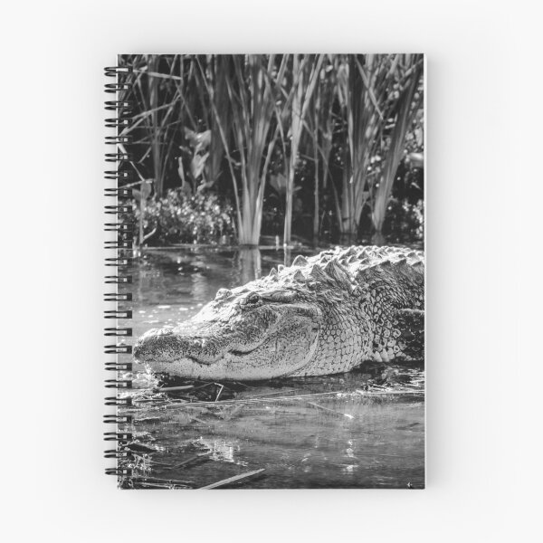 Item preview, Alligator Bags of Port Aransas designed and sold by Debra Martz.