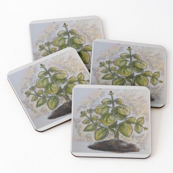 Item preview, Basil Plant designed and sold by arfff.