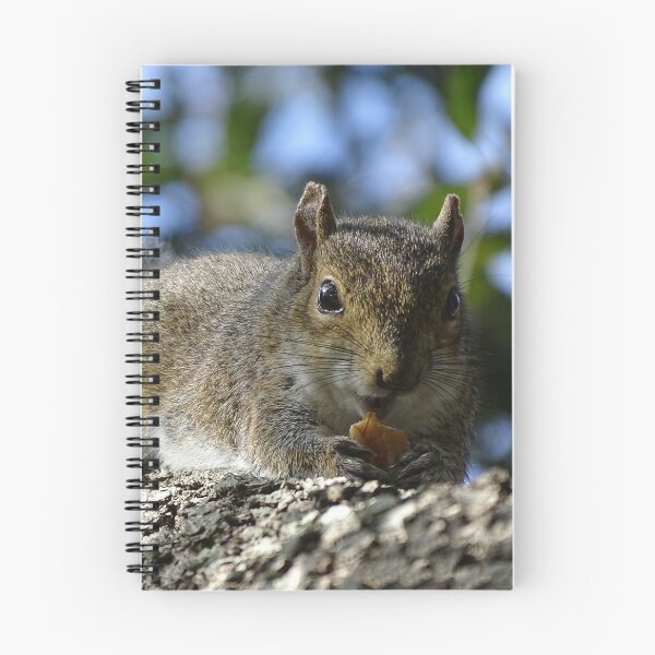 Item preview, Cute Squirrel #0084 designed and sold by Jeffrey Mask.