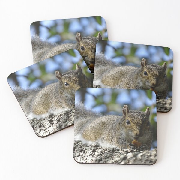 Item preview, Cute Squirrel #0084 designed and sold by Jeffrey Mask.