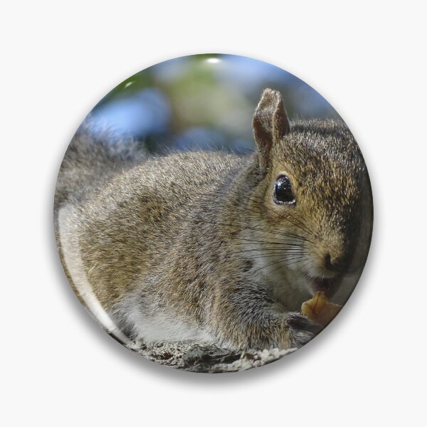 Item preview, Cute Squirrel #0084 designed and sold by Jeffrey Mask.