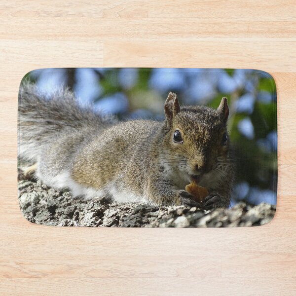 Item preview, Cute Squirrel #0084 designed and sold by Jeffrey Mask.