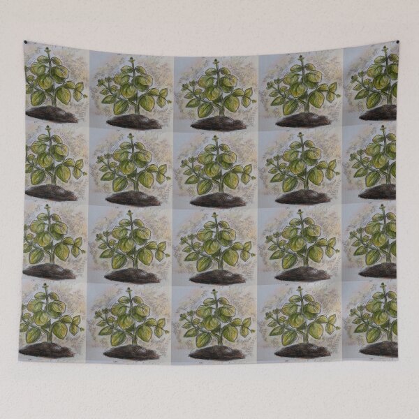 Item preview, Basil Plant designed and sold by arfff.