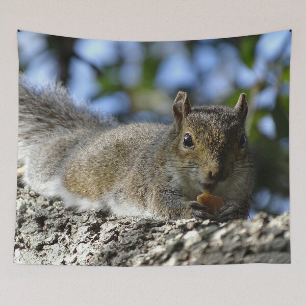 Item preview, Cute Squirrel #0084 designed and sold by Jeffrey Mask.