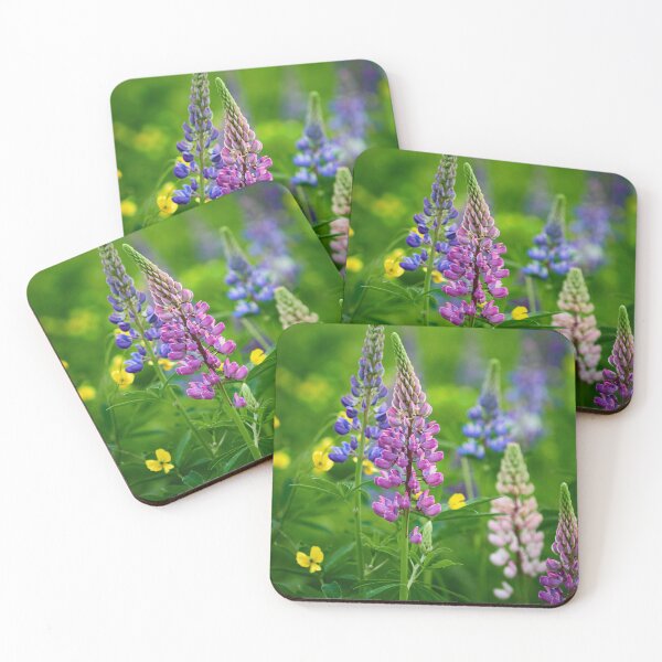 Item preview, Basic mix. Blue-pod lupine designed and sold by Jouko Lehto Photography.