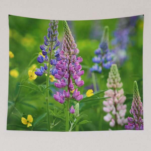 Item preview, Basic mix. Blue-pod lupine designed and sold by Jouko Lehto Photography.
