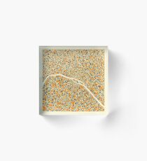 PARIS MAP Acrylic Block