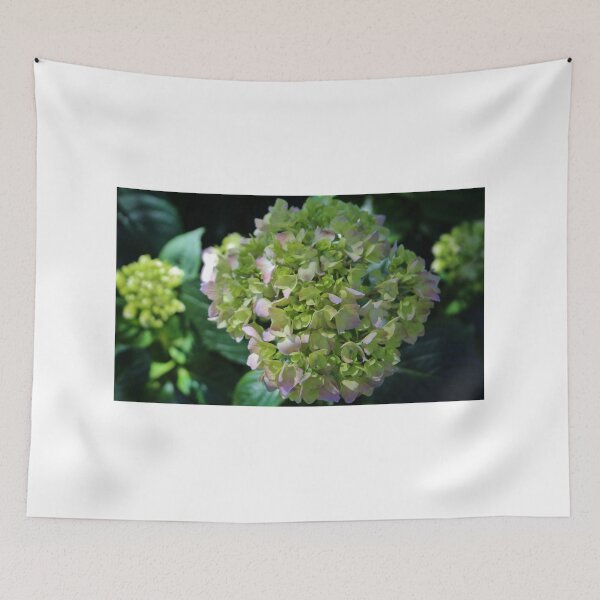Item preview, Lime-Green Hydrangea designed and sold by Cynthia48.