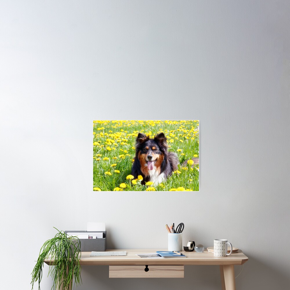 Item preview, Poster designed and sold by lucyliu.