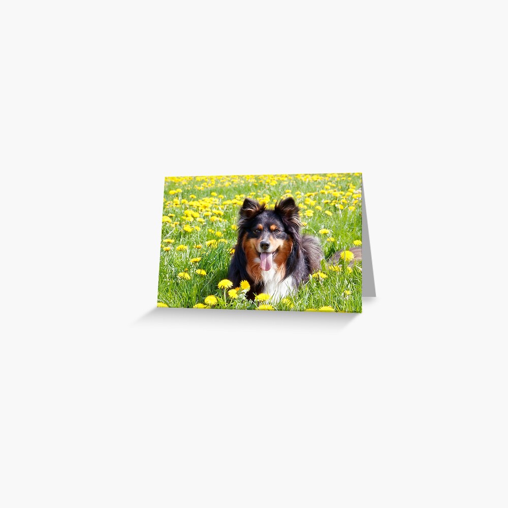 Item preview, Greeting Card designed and sold by lucyliu.