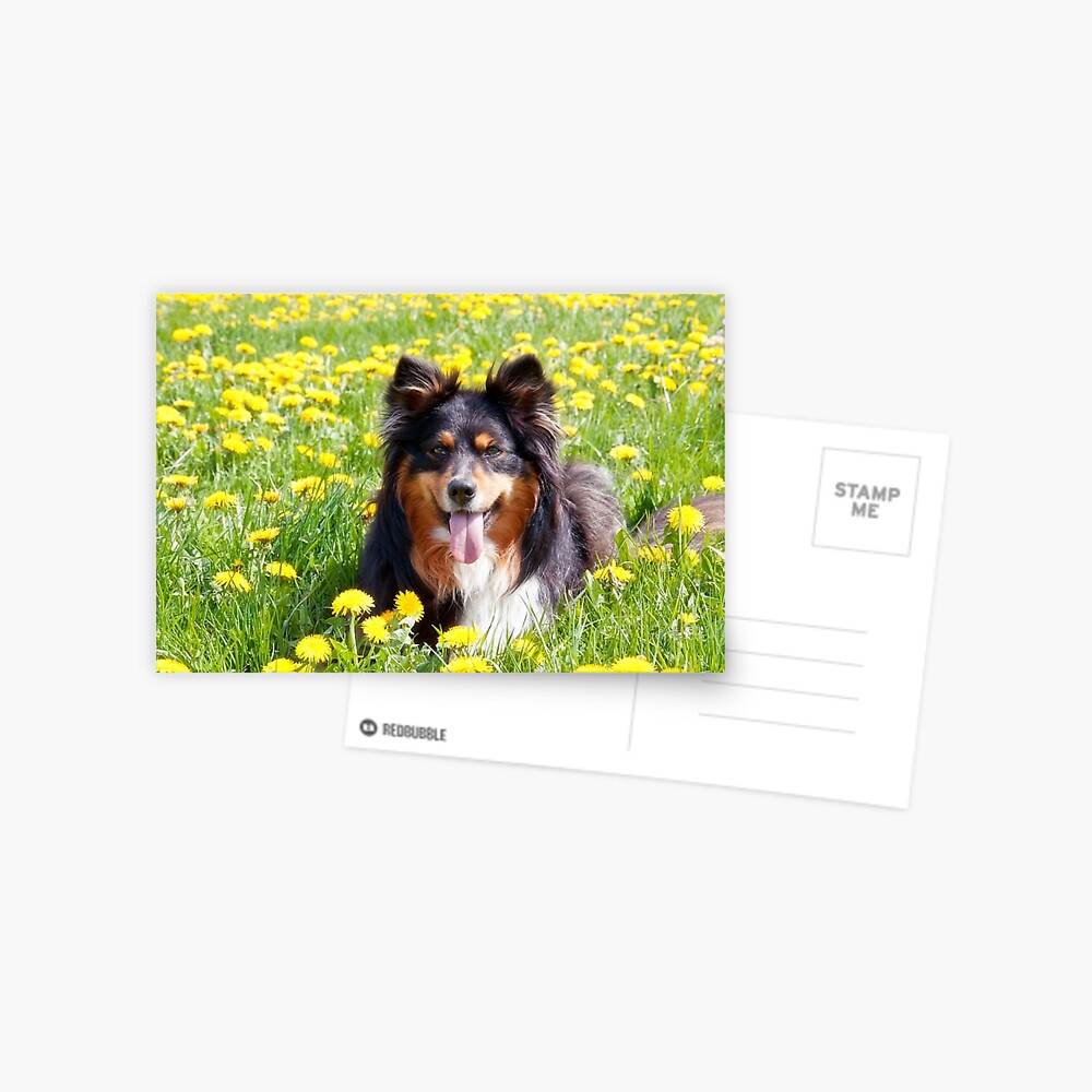 Item preview, Postcard designed and sold by lucyliu.