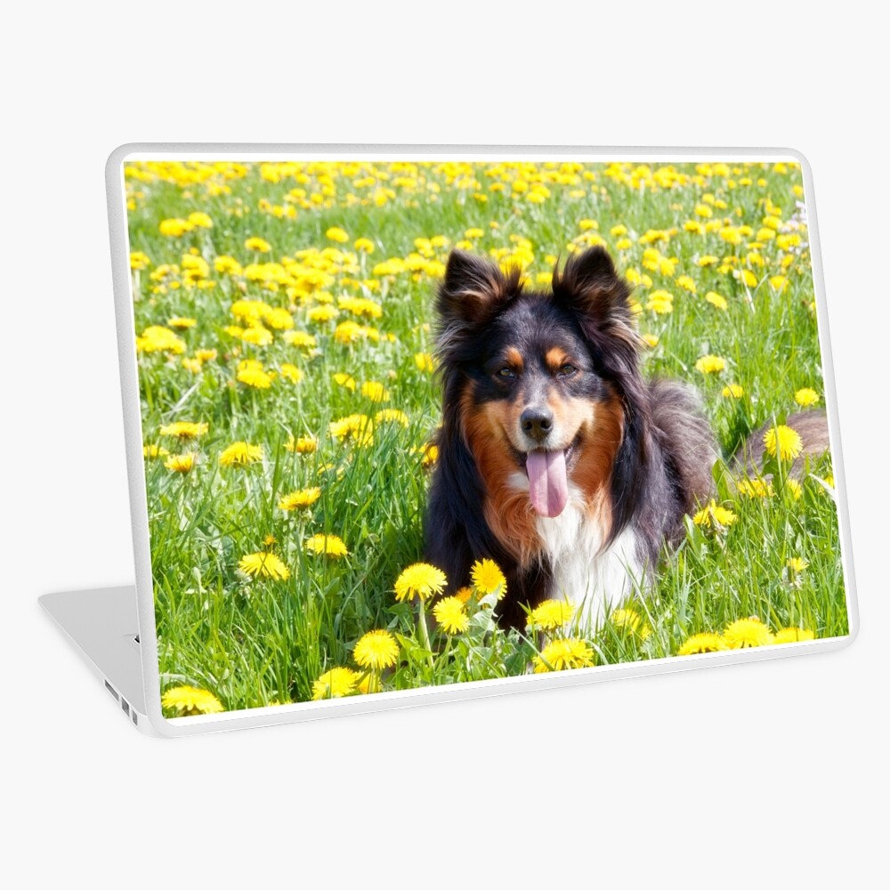 Item preview, Laptop Skin designed and sold by lucyliu.