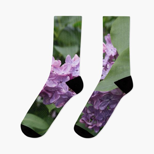 Item preview, Lilac time designed and sold by Jouko Lehto Photography.