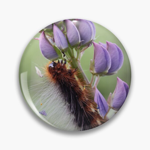 Item preview, Meeting with an ant. Caterpillar and all that stuff in the hair designed and sold by Jouko Lehto Photography.