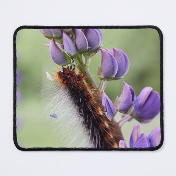 Item preview, Meeting with an ant. Caterpillar and all that stuff in the hair designed and sold by Jouko Lehto Photography.