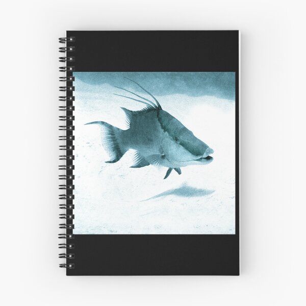 Item preview, Friendly Hogfish Sticker designed and sold by kimmesajgreh.