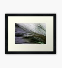 Rush Framed Print