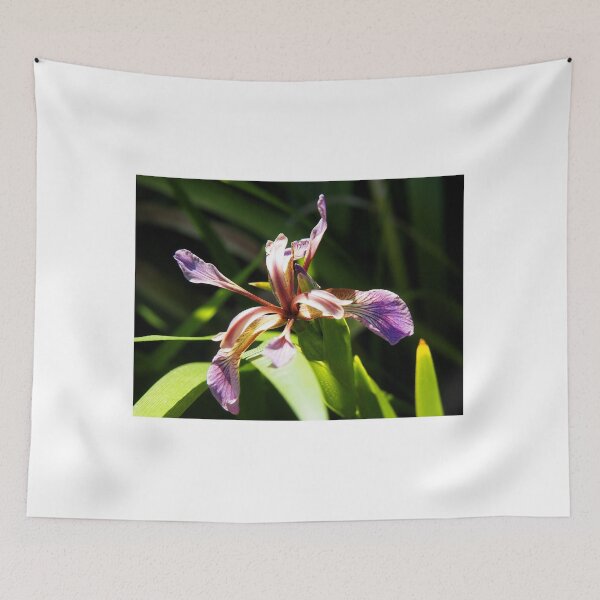 Item preview, Iris foetidissima .....Lyme, Dorset UK designed and sold by lynn carter.