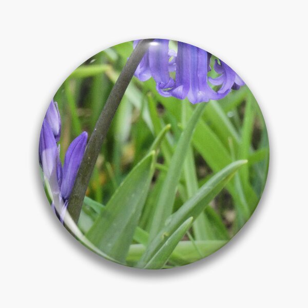 Item preview, bluebell designed and sold by KathleenDawson.
